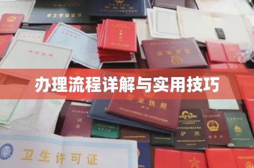 明光办理流程详解与实用技巧