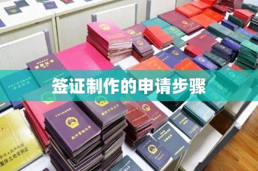 明光签证制作的申请步骤