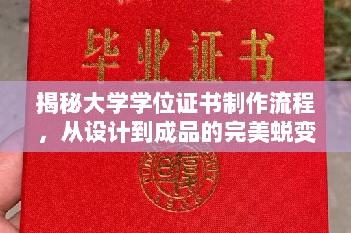明光揭秘大学学位证书制作流程，从设计到成品的完美蜕变