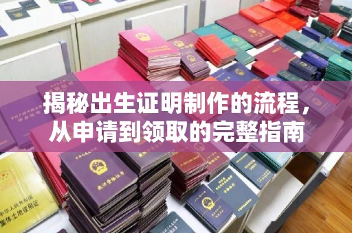 明光揭秘出生证明制作的流程，从申请到领取的完整指南