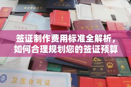 明光签证制作费用标准全解析，如何合理规划您的签证预算？